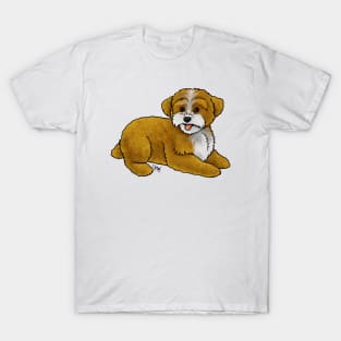 Dog - Yorkipoo - Red and White T-Shirt